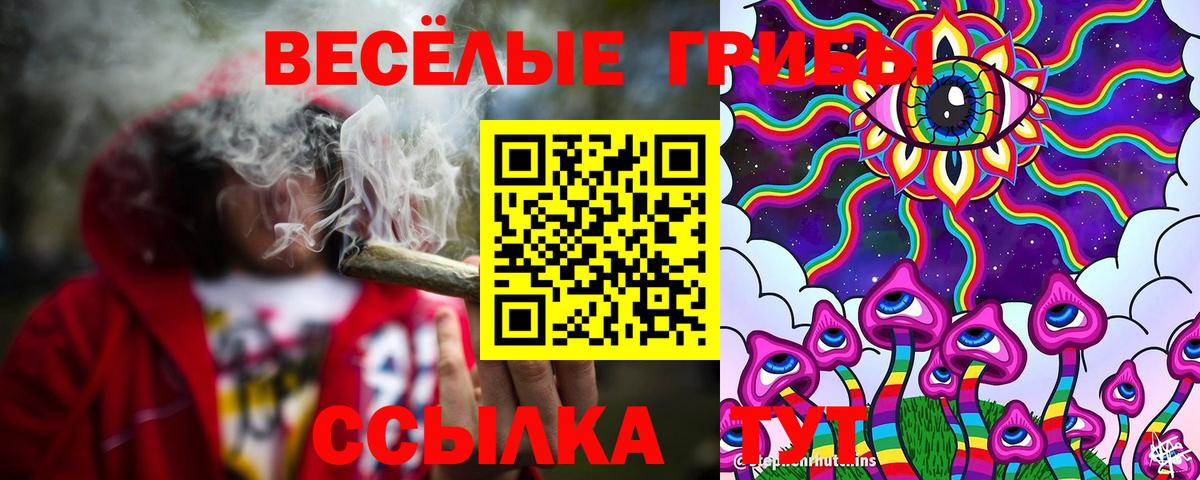 Галлюциногенные грибы прущие грибы Рославль